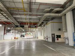 Ct Foodnex (D25), Warehouse #483532681